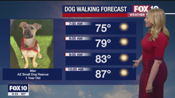 Arizona weather forecast: Warm temps for Memorial Day