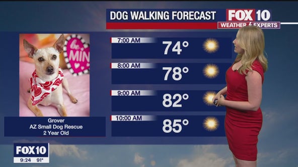 Arizona weather forecast: Warm temps for Memorial Day weekend