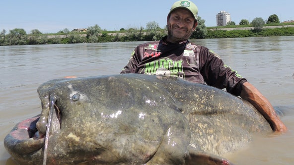 9-foot-long monster catfish caught in Italy