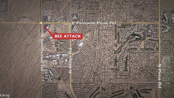 Phoenix firefighter, 3 others hurt in Scottsdale bee attack