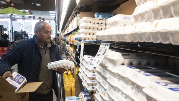 Egg prices are finally dropping after record highs