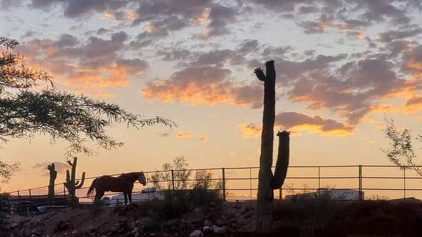 Arizona Photo of the Day - June 2023