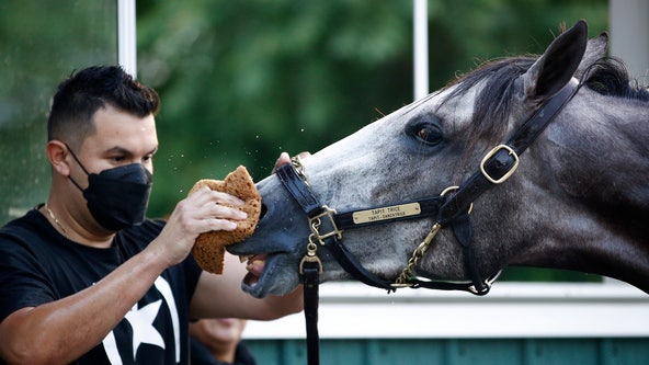 Belmont Stakes: Who's racing and how to watch on FOX