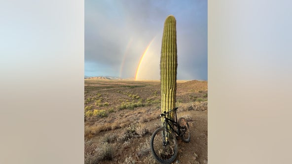 Arizona Photo of the Day - June 2023