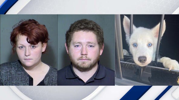 Glendale police arrest alleged dognappers, rescue 2 dogs