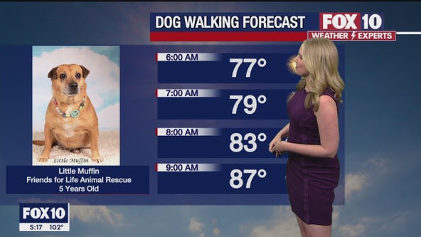 Arizona weather forecast: Temperatures warm up this weekend