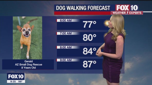 Arizona weather forecast: A hot start to the week before a "cool" down