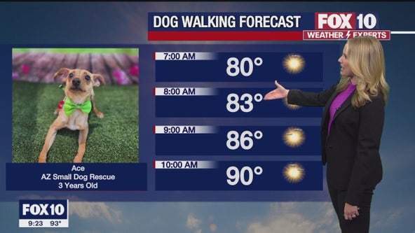 Arizona weather forecast: Temperatures warm up this weekend