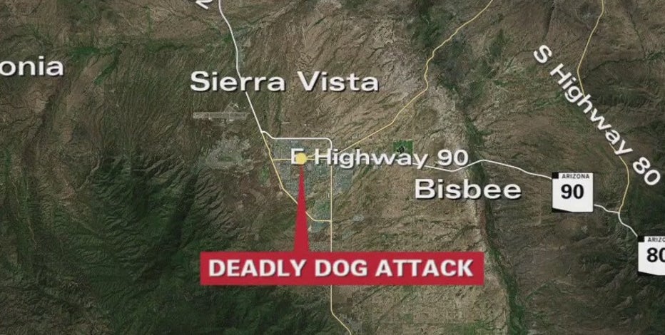 Sierra Vista dog attack leaves woman dead, man critically injured