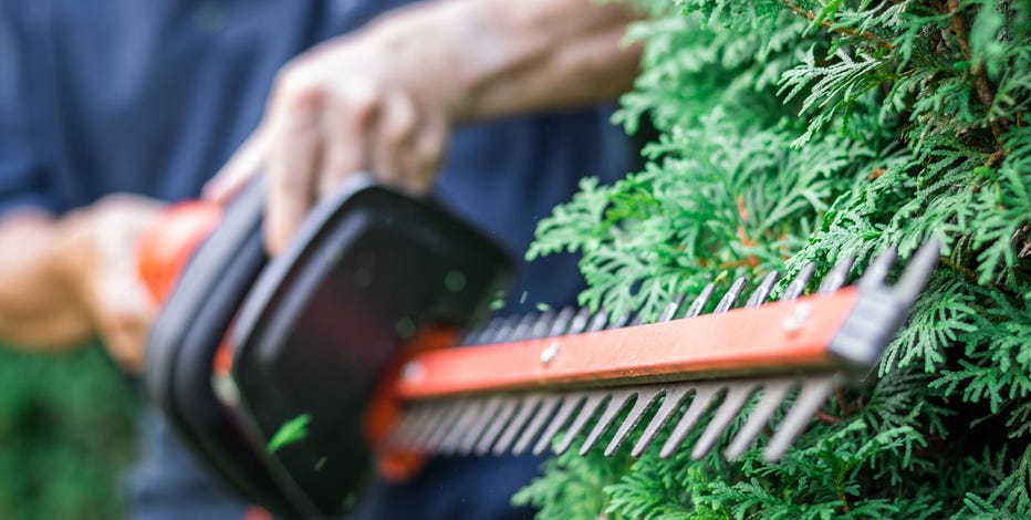 85,000 hedge trimmers recalled over laceration risk