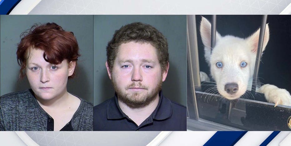 Glendale police arrest alleged dognappers, rescue 2 dogs