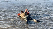 Wildlife officials use rafts made of life jackets to rescue stranded boaters