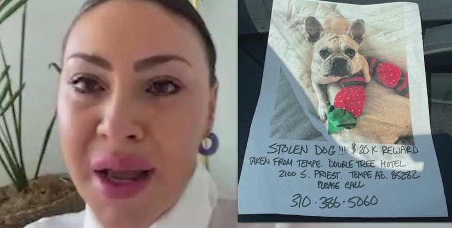 Service dog stolen from Tempe hotel room found, returned to owner