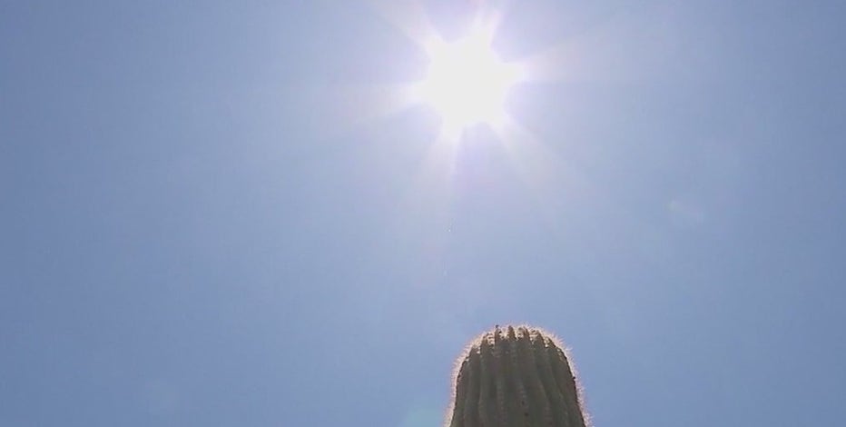 Woman says her sister died from Arizona's heat: 'Just lost my baby sister'