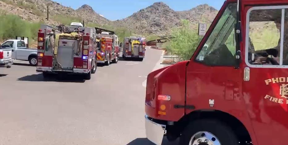 Dog dies on Piestewa Peak hiking trail, another dog rescued
