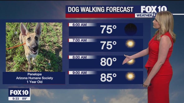 Arizona weather forecast: Mornings feeling more and more like Fall