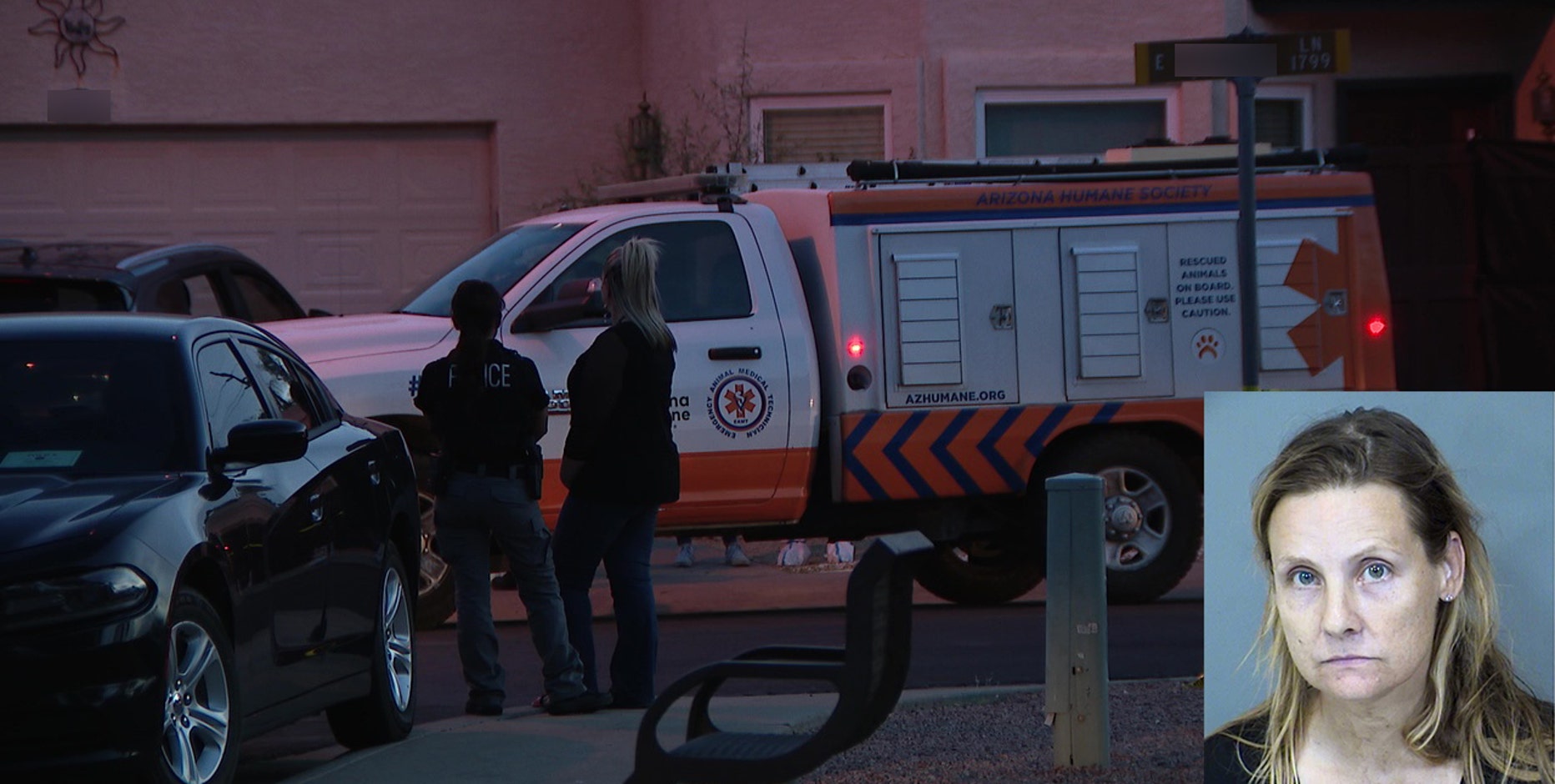 Charges dropped against Arizona animal abuse suspect: Here's what to know