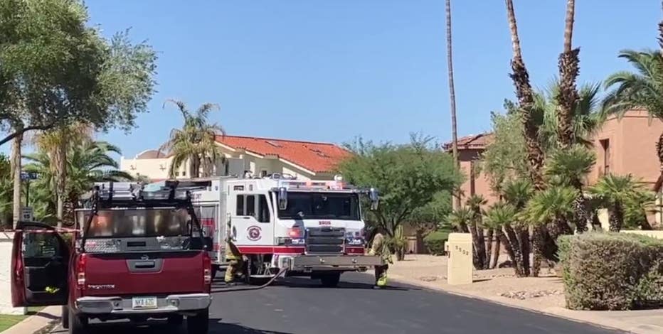 Man attacked by swarm of bees in Paradise Valley, in critical condition