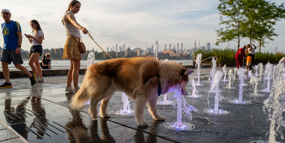 This summer was a global record breaker for highest heat ever calculated, meteorologists say
