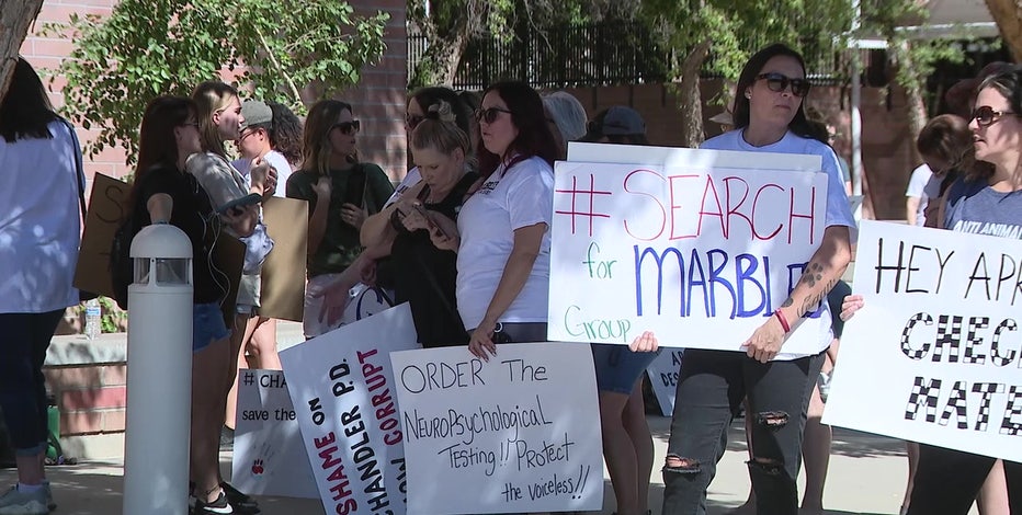 Chandler animal abuse investigation: Protesters rail against April McLaughlin outside of court