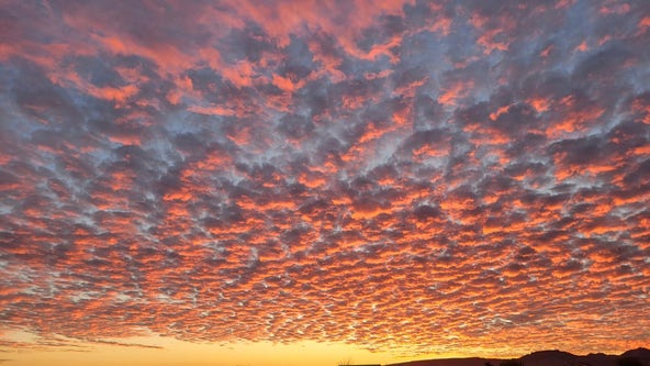 Arizona Photo of the Day - December 2023