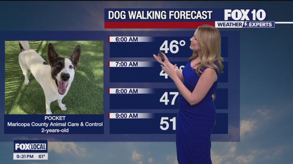 Arizona weather forecast: Temps remain comfortable in the Valley