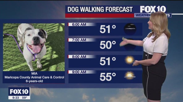 Arizona weather forecast: Will the 80s make a comeback?