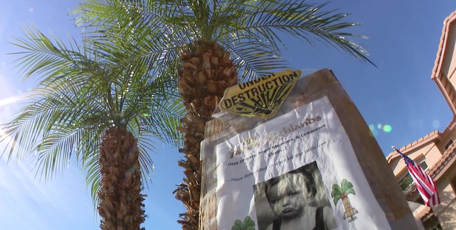 North Phoenix HOA bans palm trees from front yards, sparks community outcry