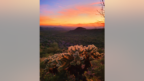 Arizona Photo of the Day - February 2024