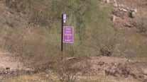Phoenix hikers help man on trail who passed out: 'At least 45 minutes of chest compressions'