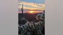 Arizona Photo of the Day - April 2024
