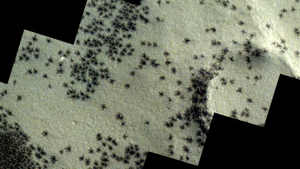 ‘Spiders’ seen ‘crawling’ across Mars’ surface