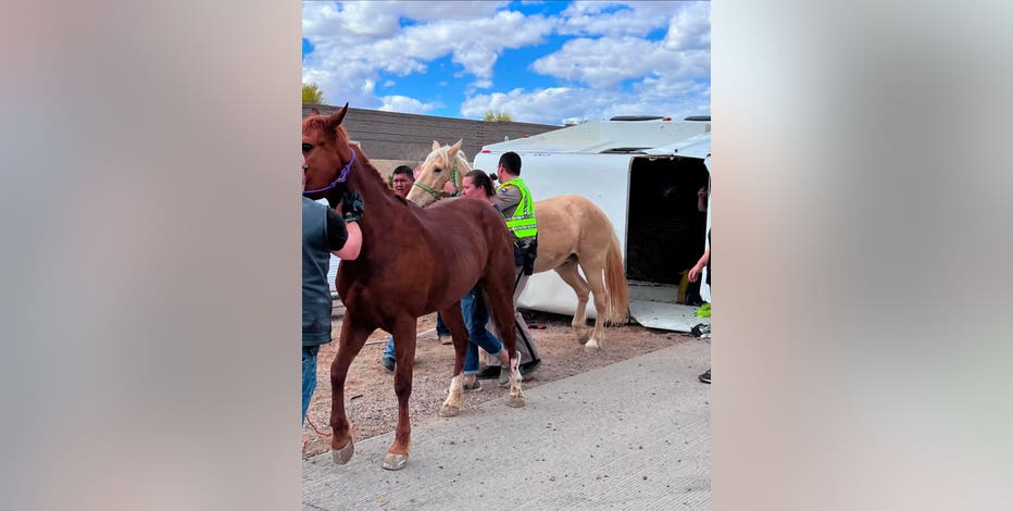 Horse trailer flips sideways in crash on Loop 303, 2 horses rescued by Surprise Fire Department