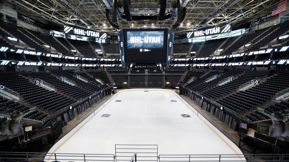 What will Utah's NHL team be called? One of these 20 options