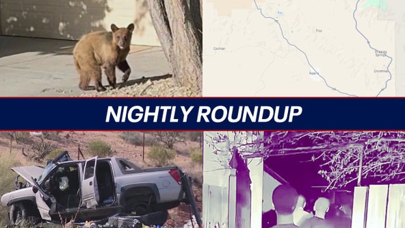 Bear spotted in Prescott Valley, Simmons Fire causes evacuations and road closures | Nightly Roundup