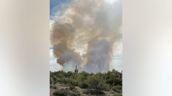 Wildcat Fire grows to approximately 500, causes road closures near Bartlett Lake