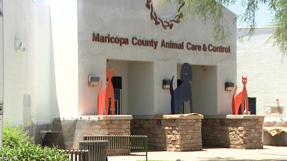 Phone threat prompts evacuation of Maricopa County Animal Care and Control facility