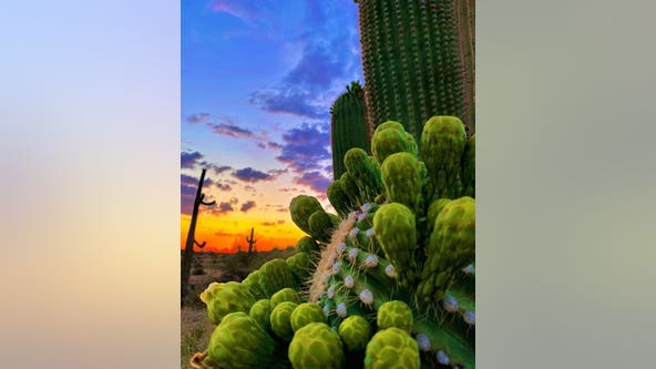 Arizona Photo of the Day - July 2024