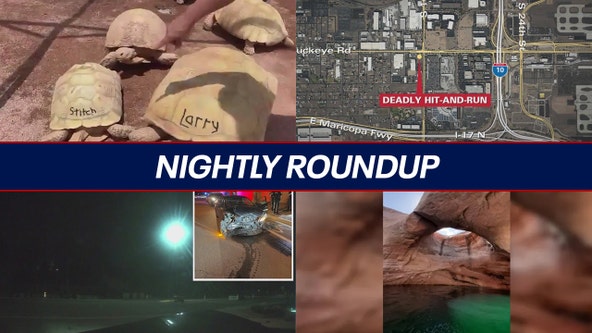 Gilbert hit-and-run suspect sought; tortoise makes a highway escape | Nightly Roundup