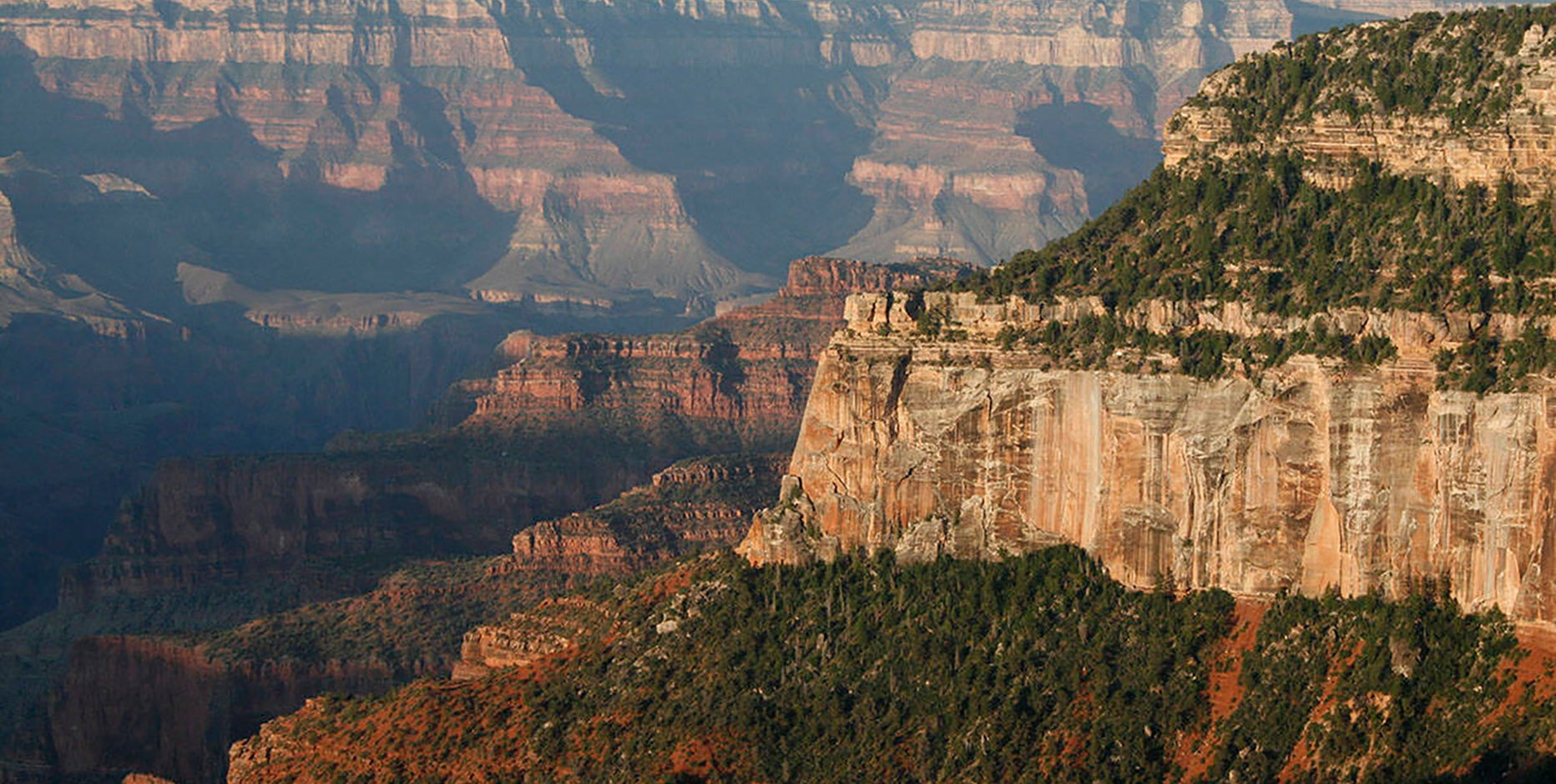 Grand Canyon tragedies: It's been a deadly year at the Arizona landmark