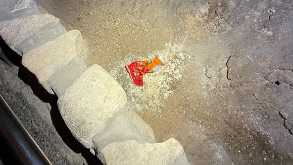 Bag of Cheetos created huge impact on a national park ecosystem