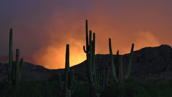 Arizona Photo of the Day - September 2024