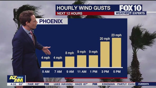 Arizona weather forecast: Windy and warm day in Phoenix