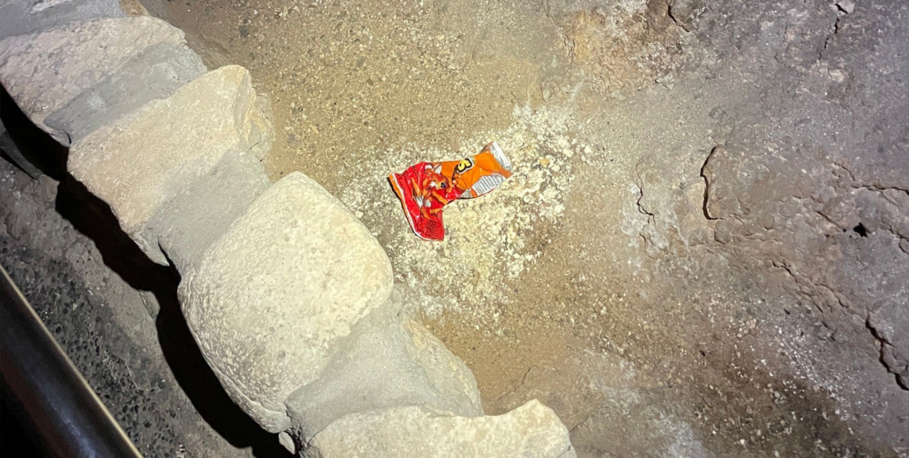 Bag of Cheetos created huge impact on a national park ecosystem