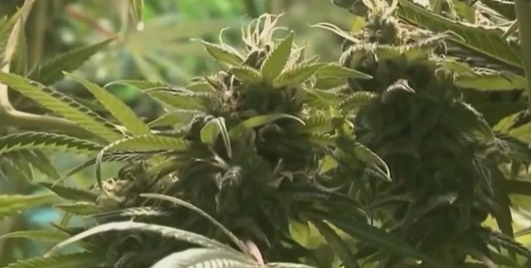 Jewish community in Arizona comes together to mark a year since Hamas attacks on Israel