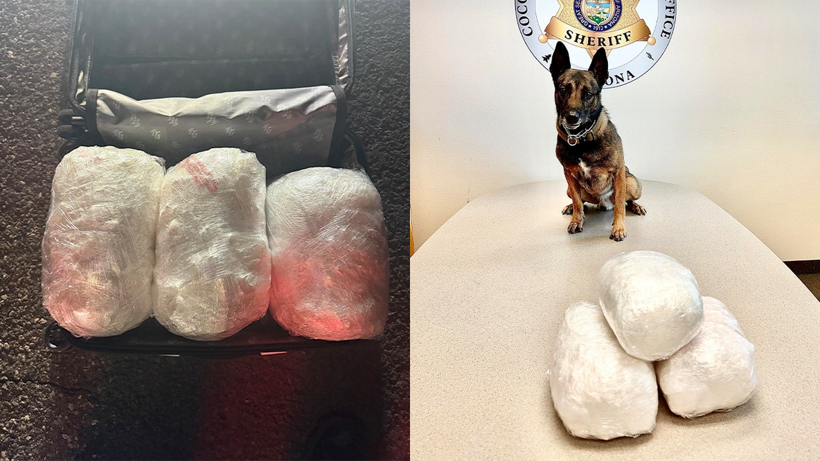 Nearly 30 pounds of meth found during northern Arizona traffic stop: CCSO