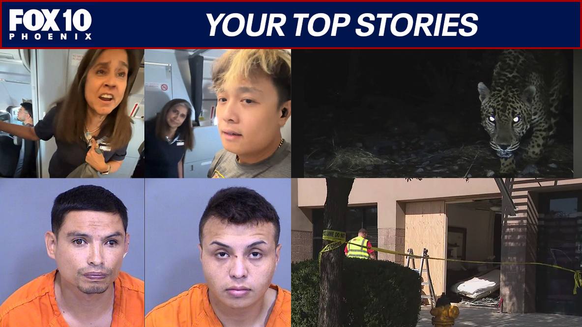 Jaguar spotted in Arizona; South American Theft Group members arrested | Nightly Roundup