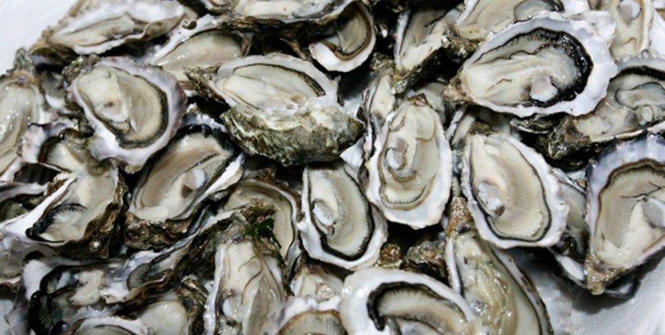 "It breaks my heart": Florida shuts down bay known nationally for its oysters