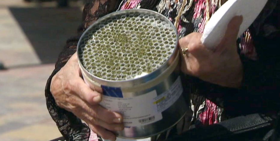 Two Floridians get free marijuana for life -- from the feds
