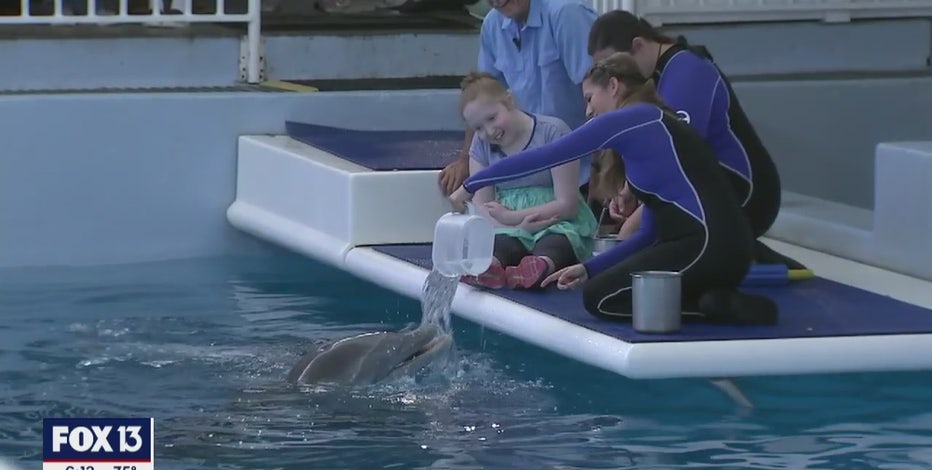 14 years later, Winter the Dolphin reunited with fisherman who found her